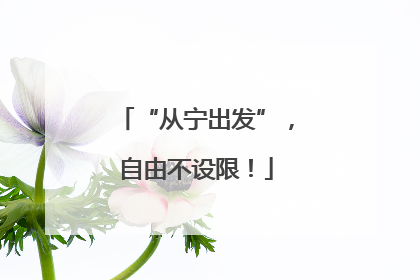 “从宁出发”，自由不设限！